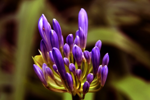 娴熟的技术 娴熟的技术