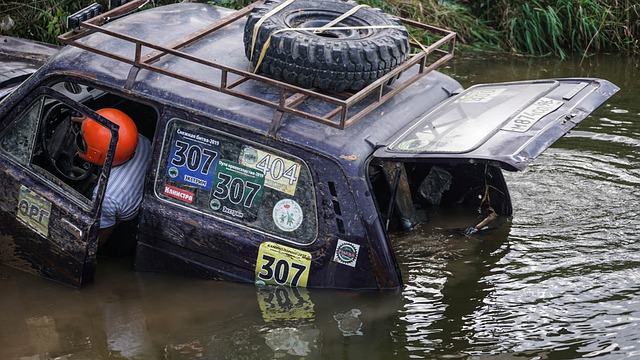团队成功的 团队成功的