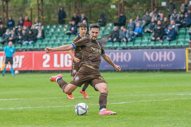 马威的合同 马威的合同