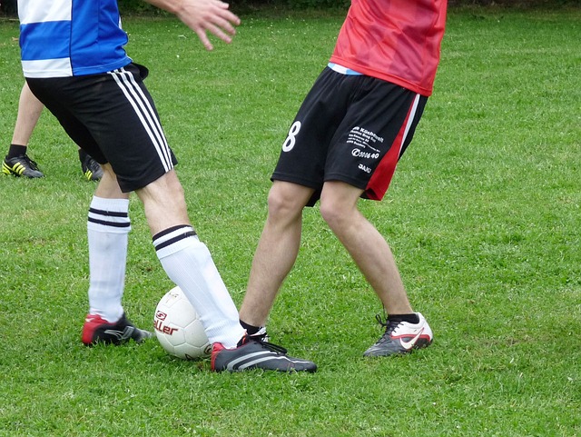 成为说服评 成为说服评