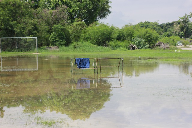 员最大的敌 员最大的敌