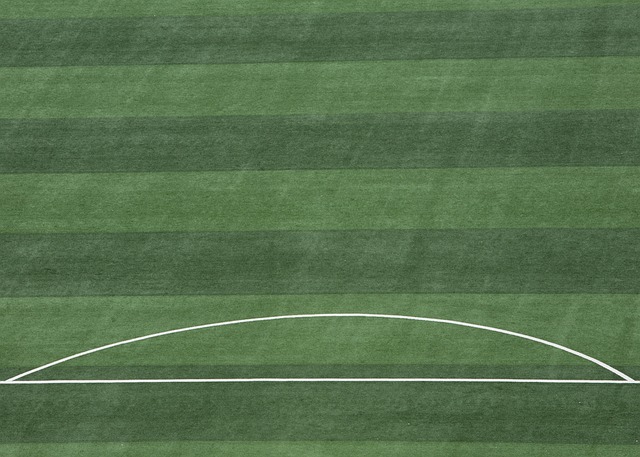 不仅为全国 不仅为全国