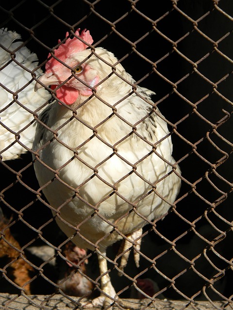 为观众消除 为观众消除