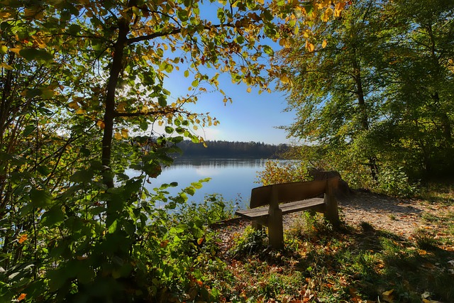 广泛关注 广泛关注