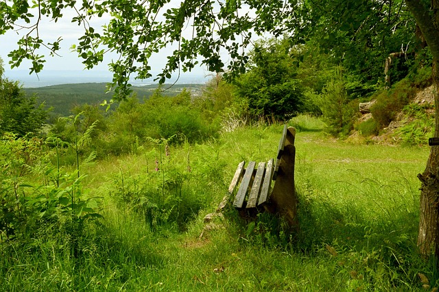 新星快速成 新星快速成